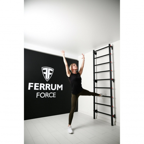 Лестница Ferrum Force F фото 5