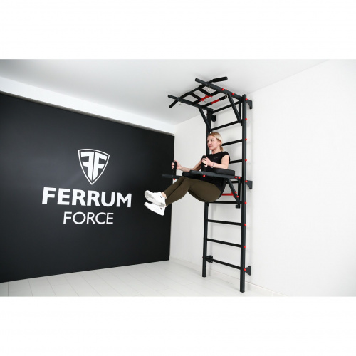 Брусья Пресс Упор для штанги навесной Ferrum Force фото 2